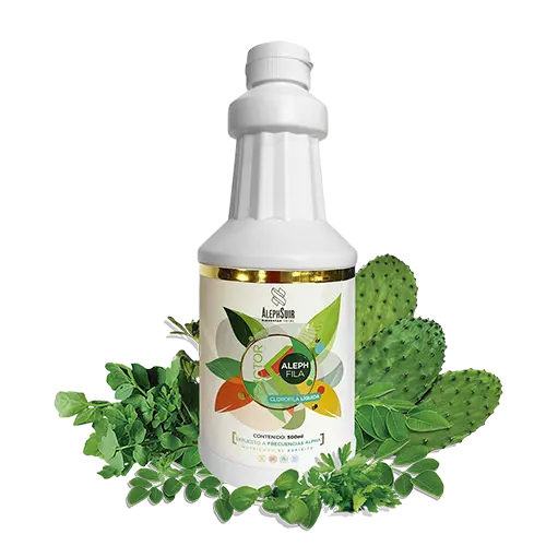 F/K ALEPH FILA 500ml